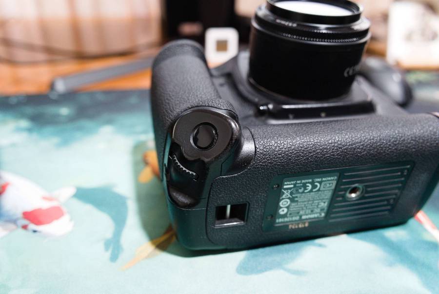 CANON 1Ds MK III + 50mm f/1.8 + LC-E4 CHARGER