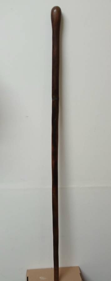 African hardwood Walking stick Central/ lowerAfrica