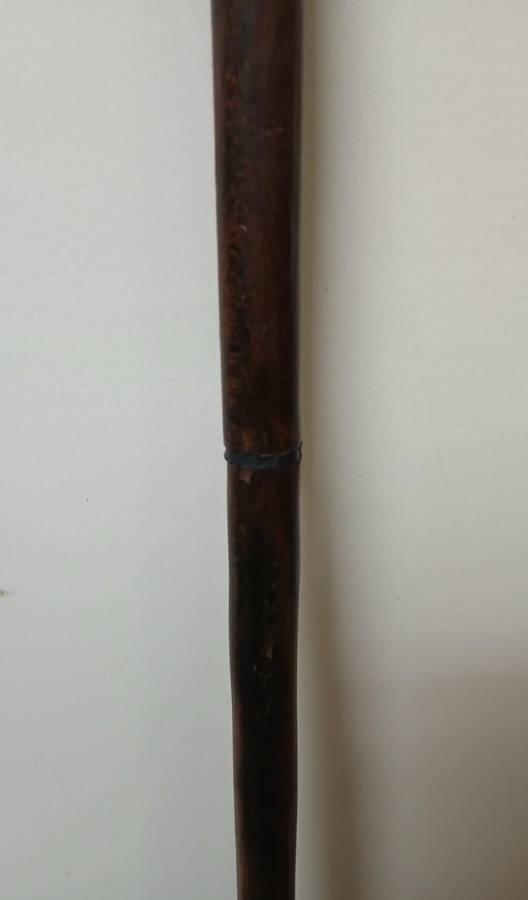 African hardwood Walking stick Central/ lowerAfrica