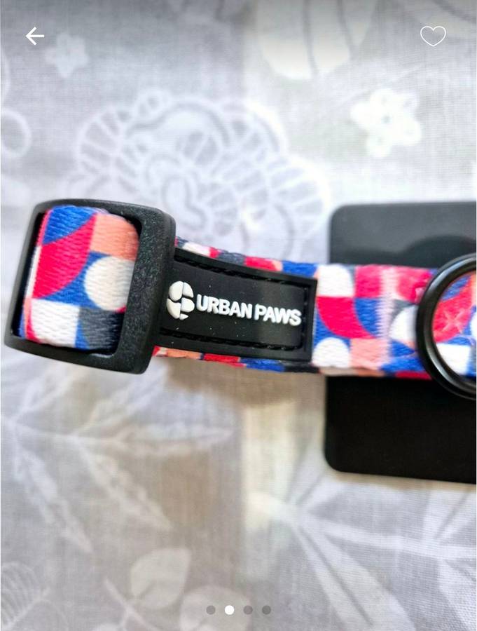 Urban Paws Dog Collars (x2)