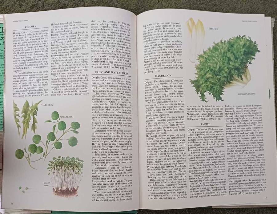 Versatile Vegetables- Carol Bowen