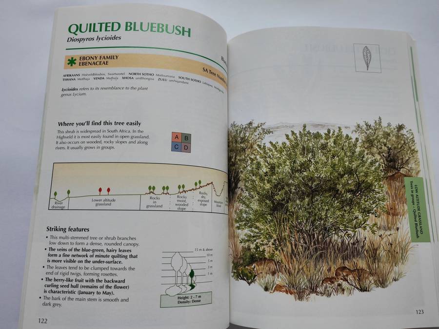 Sappi Tree Spotting: HIGHVELD AND DRAKENSBERG by Val Thomas, Rina Grant