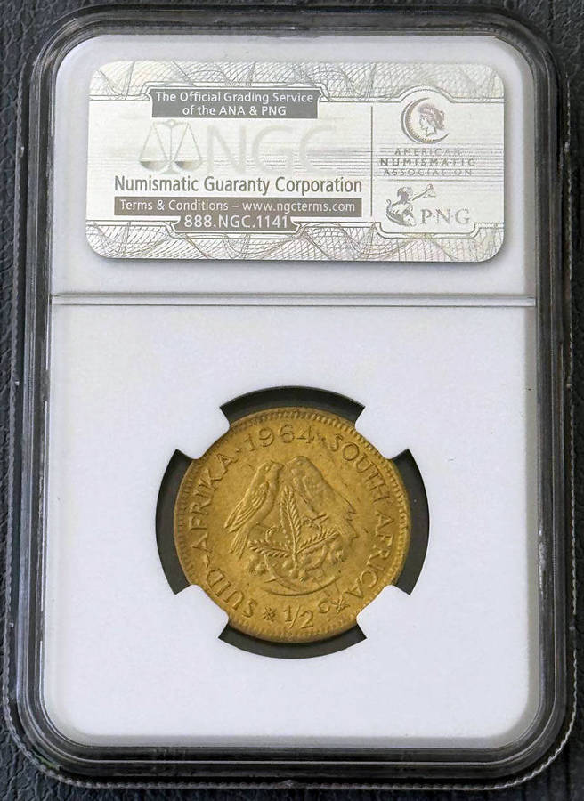 1964 Half Cent NGC MS66