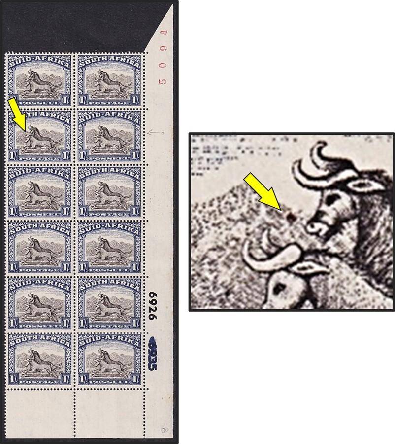 1950 Union 1/- UMM(**) Extended Control Variety - Solid Circle infront of Second Gnu's Nose