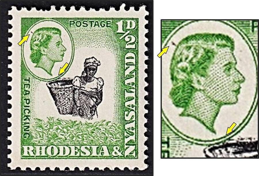 1959 Rhodesia & Nyasaland ½d UMM(**) - Vignette Shift - Touching Oval - Scarce