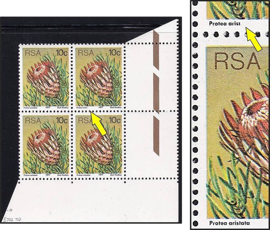 1977 RSA 10c Protea UMM(**) Positional Variety "Arist" instead of "Aristata"