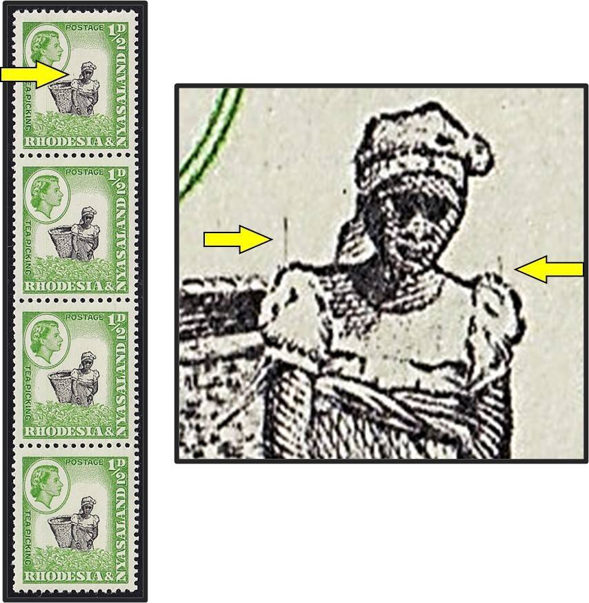 1959 Rhodesia & Nyasaland ½d UMM(**) Coil Variety - Vertical Lines on Shoulders