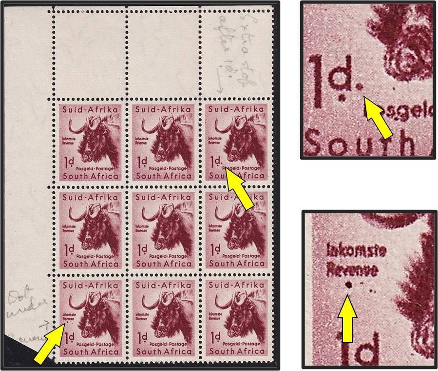 1954 Union 1d Gnu UMM(**) Positional Varieties - Stop after "d" in 1d & Stop under "Postage"