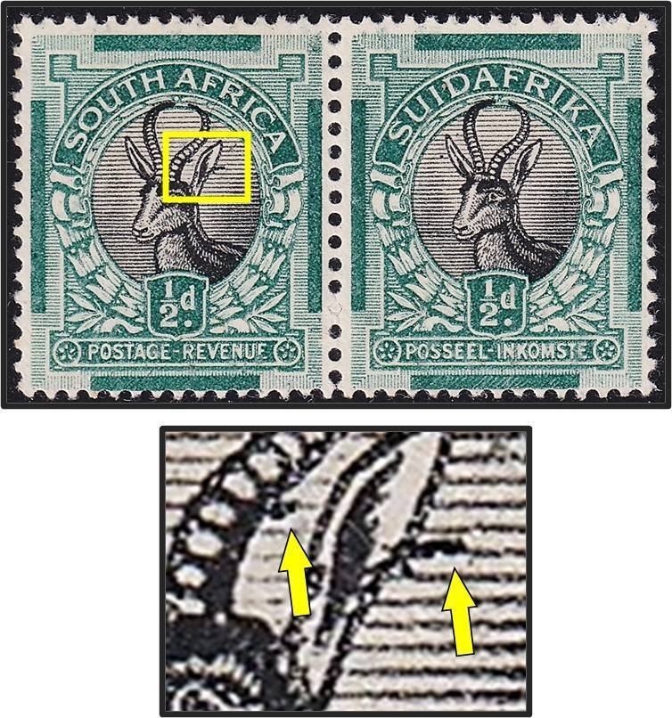 1930 Union ½d MM(*) ROTO UHB Variety Combo - Tagged Ear & Tick on Horn