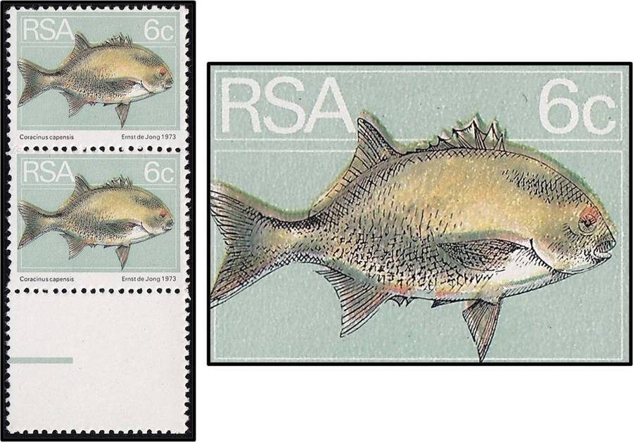 1974 RSA 6c UMM(**) Variety - Colour Shift - "Double Fin Flaw"