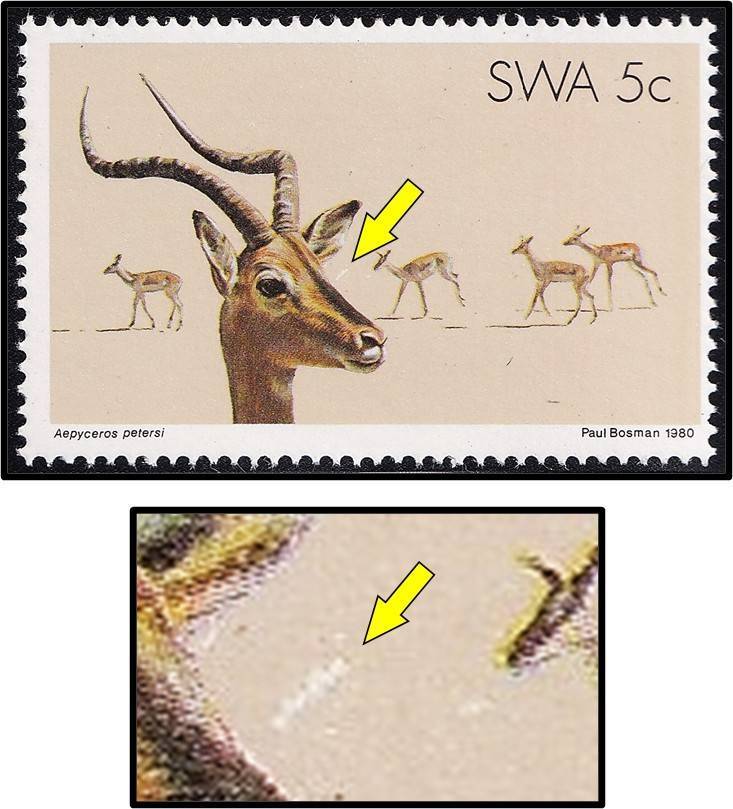 1980 SWA 5c UMM(**) Variety - White Mark left of Buck's Face
