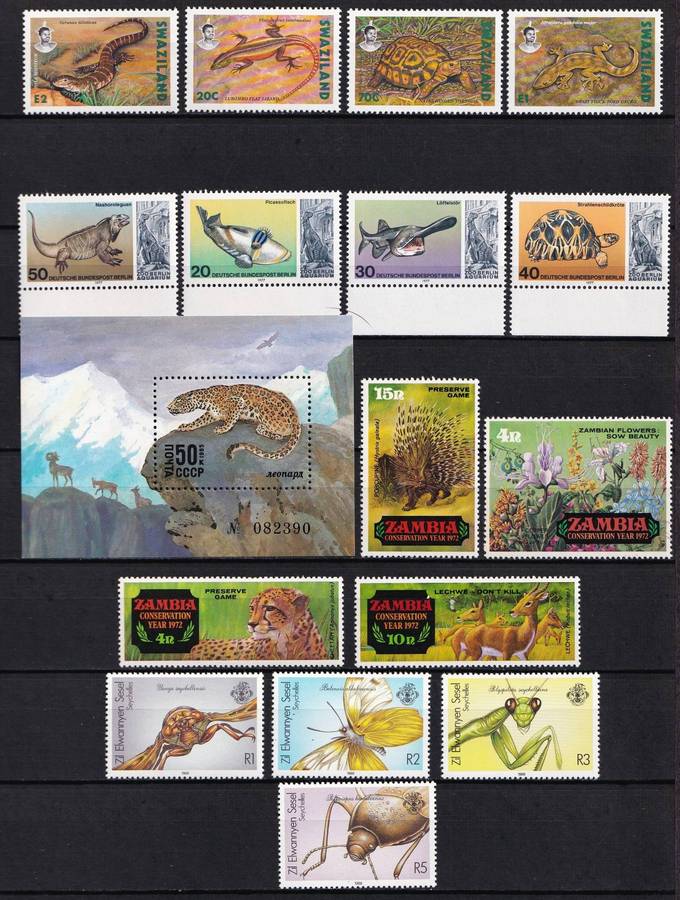 Animal Themed UMM/MM Sets - Fantastic Thematic!