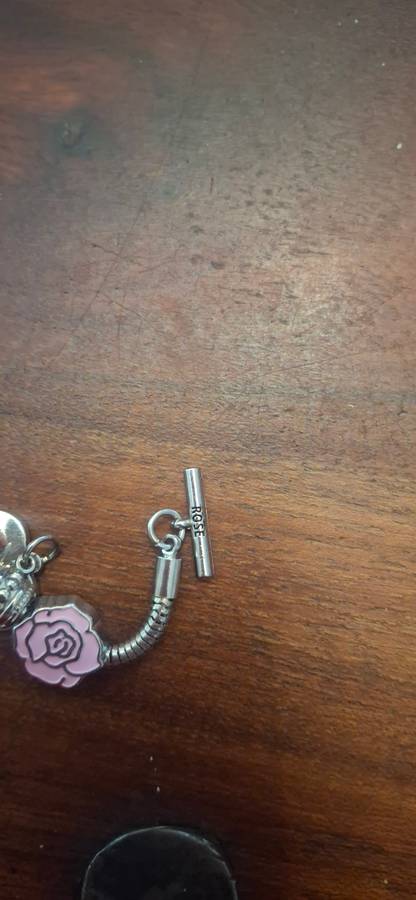 Pandora tipe of bracelet roses