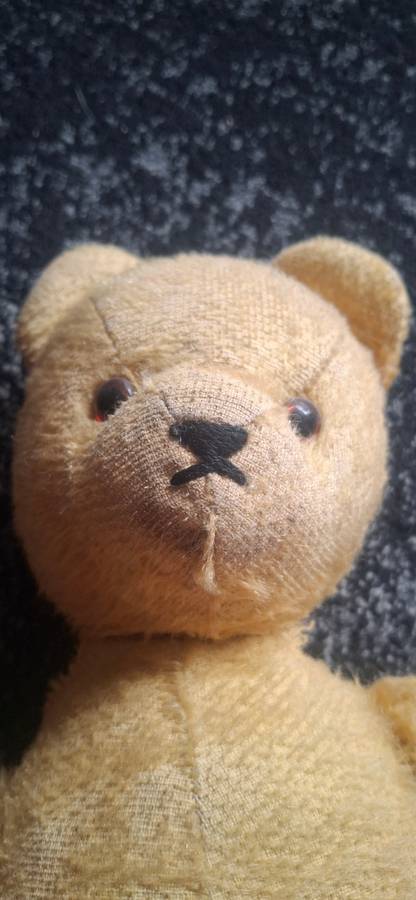 Vintage teddy bear