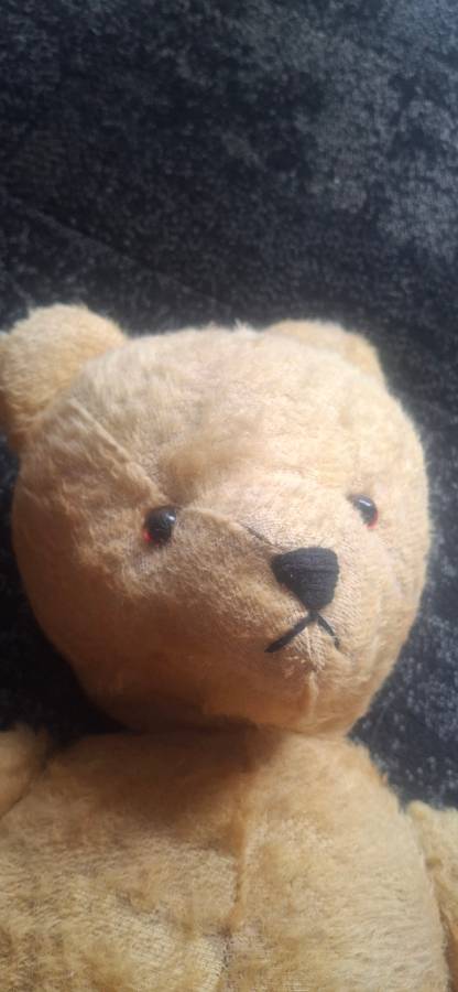 HUGE MOHAIR VINTAGE ARK TEDDY BEAR  1950'S
