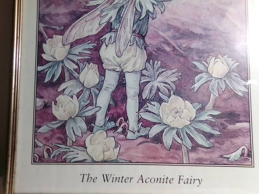 A very large wall hanging, Winter Aconite Fairy framed under glass in good condition.