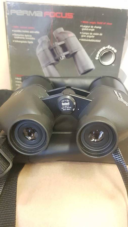 Bushnell Perma Focus 12x50 binoculars.