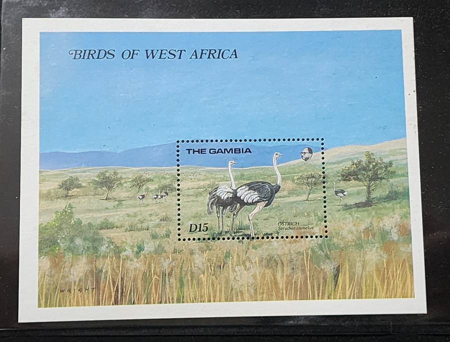 STAMPS MNH -the GAMBIA D15 "OSTRICH" M/Sheet- Stunning BIRD Thematic, gorgeous