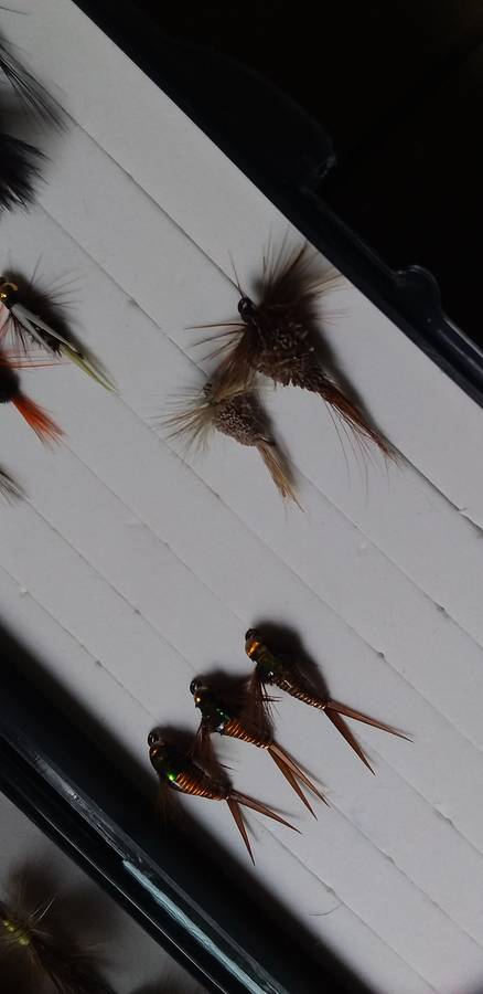 Snowbee Fly Box and Flies