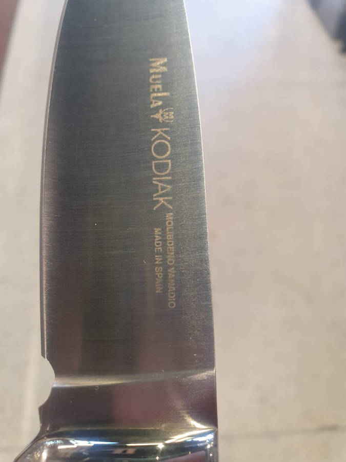 2x Muela Bowie BW-14 Wood Knife in Leather skeet a pair.