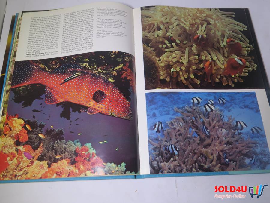 The Wonderful World of Life in the Sea - Andrew C. Campbell