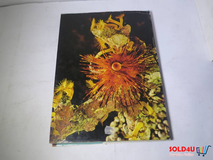 The Wonderful World of Life in the Sea - Andrew C. Campbell