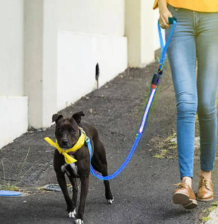 LED Light-up Dog Leash-Blue
