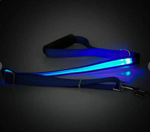 LED Light-up Dog Leash-Blue