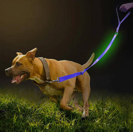 LED Light-up Dog Leash-Blue