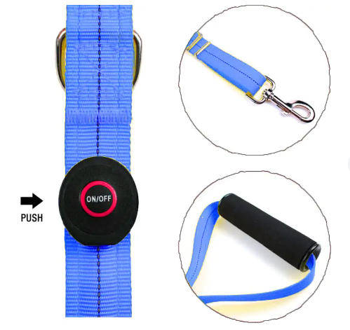 LED Light-up Dog Leash-Blue