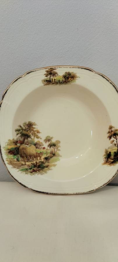 Stunning Alfred Meakin Fine China Decorative Plate/Bowl (nr21) 16cm