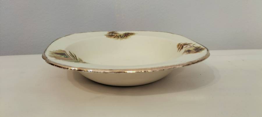 Stunning Alfred Meakin Fine China Decorative Plate/Bowl (nr21) 16cm