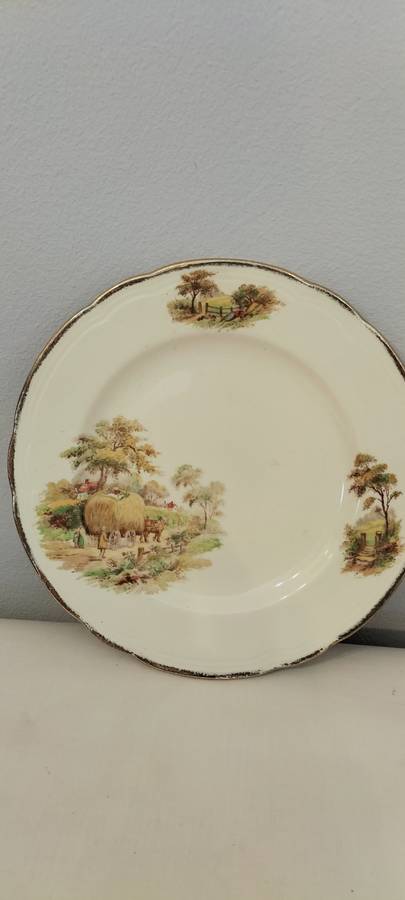 Stunning Alfred Meakin Fine China Decorative Plate (nr22) 17.5cm