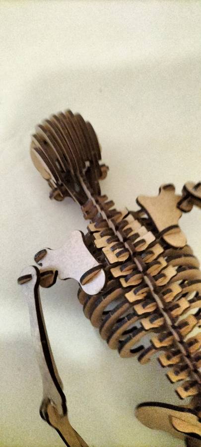 A Superb Complete Wooden Skeleton