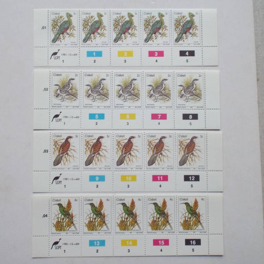 Ciskei - 1981 1st Definitive Issue "Birds" - Full Set of Control Strips of 5 (Original Print) - MNH