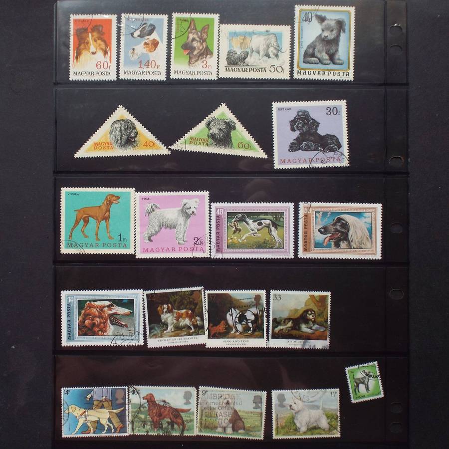 Thematics - Dogs - 80 stamps - Mixed World - no duplication