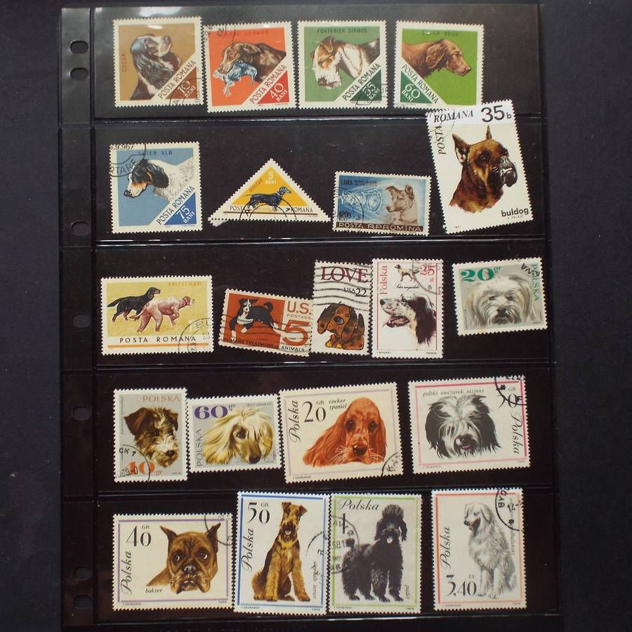 Thematics - Dogs - 80 stamps - Mixed World - no duplication