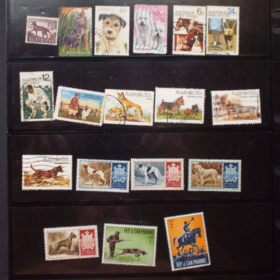 Thematics - Dogs - 80 stamps - Mixed World - no duplication