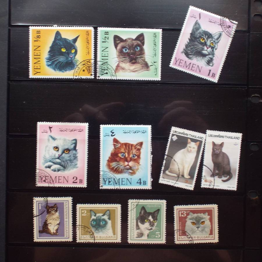 Thematics - Cats - 36 stamps - Mixed World - no duplication