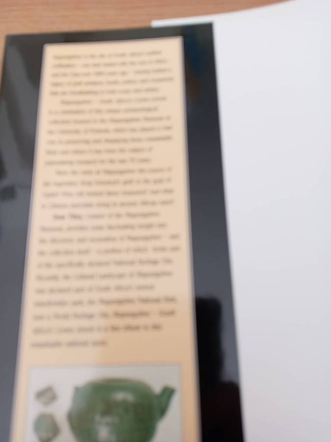 Mapungubwe .South Africa's Crown Jewels : Sian Tiley