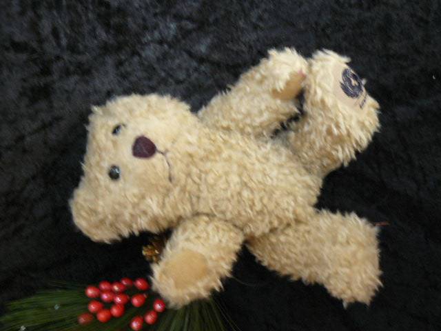 TEDDY BEAR