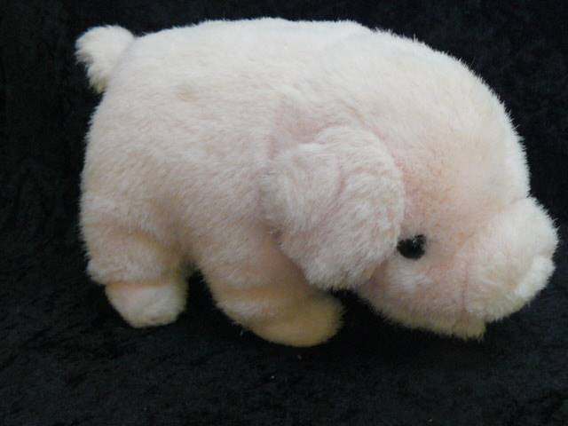 SOFT PIG