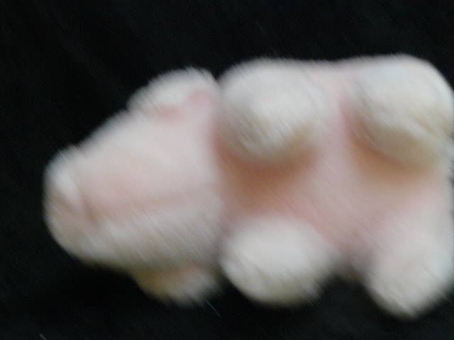 SOFT PIG