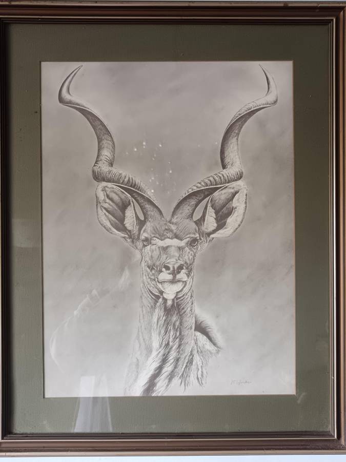 Beautiful Pencil Art Print of Kuda Framed