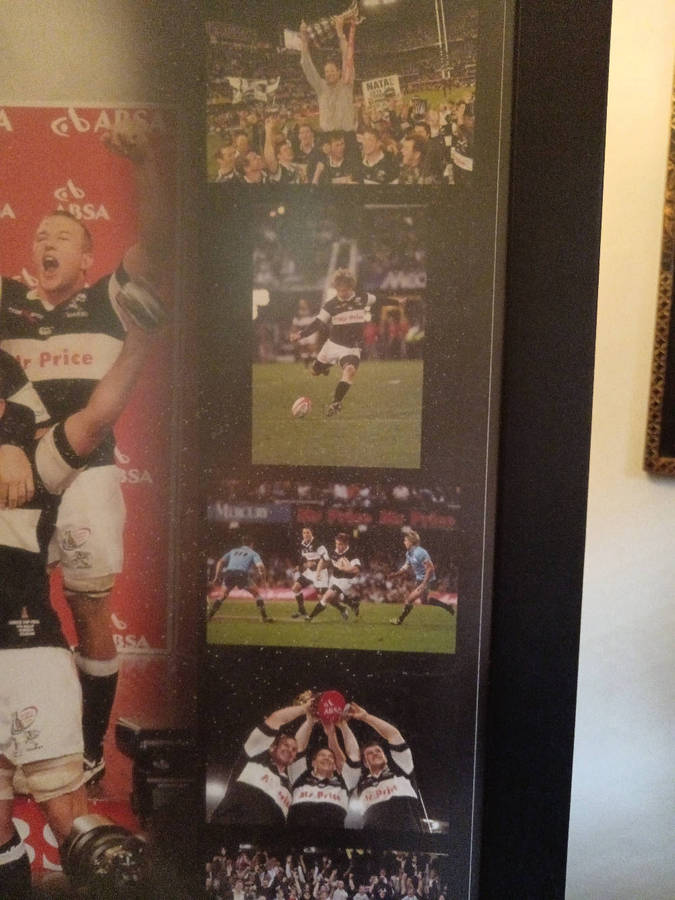Framed Photograph by Kevin James Photography Sharks Currie Cup Champions 2008