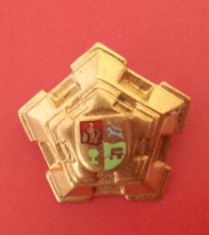 SADF-BRASS MAJOR RANK CASTLE PIP