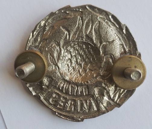 REGIMENT BOLAND CAP BADGE,CHROME,WORN POST 1964-2X SCREW LUGS