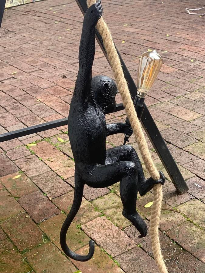 Monkey Hanging Light ( 58 cm )