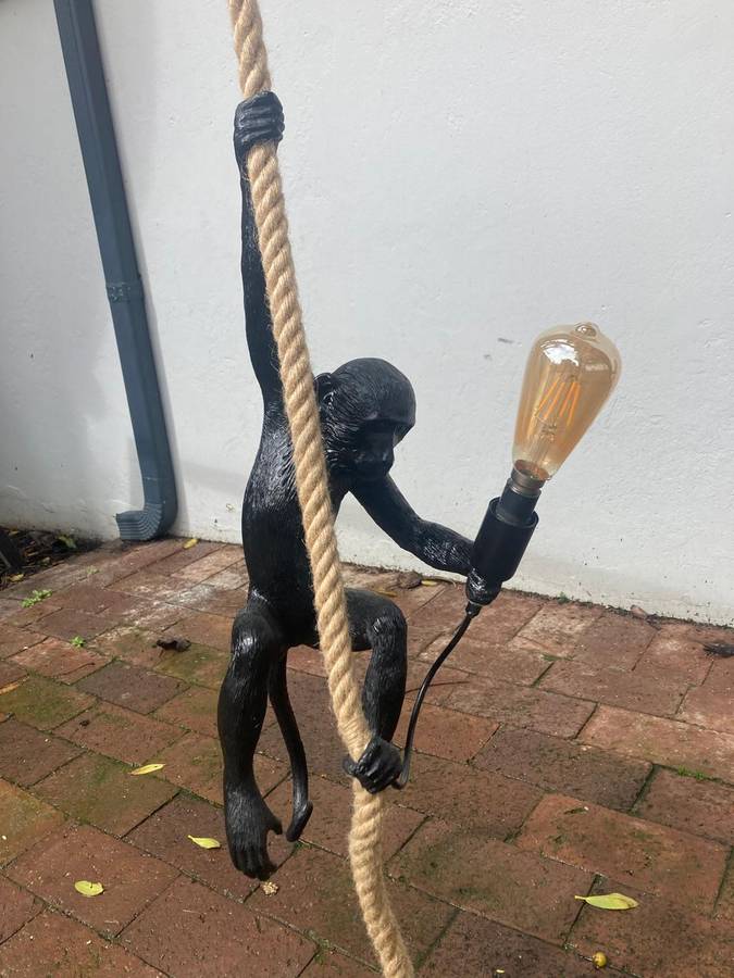 Monkey Hanging Light ( 58 cm )