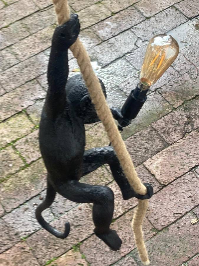 Monkey Hanging Light ( 58 cm )